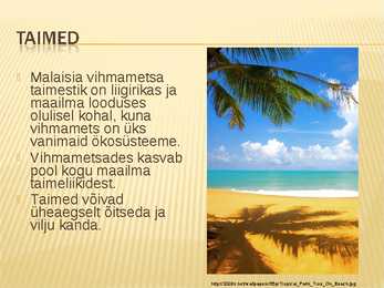 Malaisia Power point #6