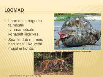 Malaisia Power point #7