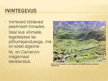 Malaisia Power point #8