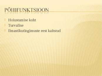 Esitlus äriidee kohta #4