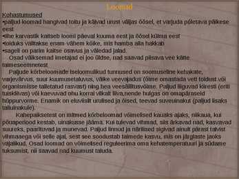 Sahara Kõrbe loomad-taimed ja muu huvitav #6