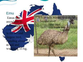 Inglise keele presentatsioon - Austraalia #19