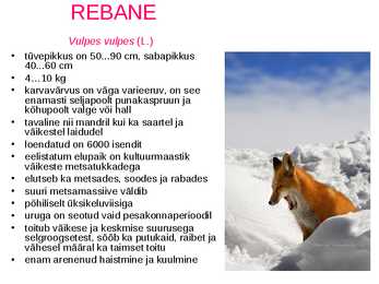 Eesti ulukid-soo raba loomad ja taimed #10