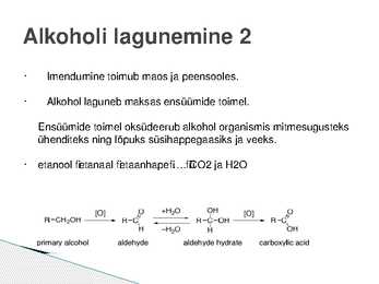 Alkoholi lagunemine organismis #5