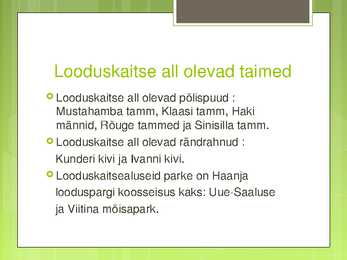 Esitlus Haanja looduspargist #9