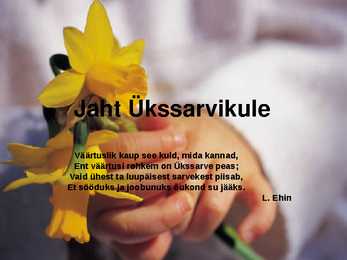 Ükssarvikud #11