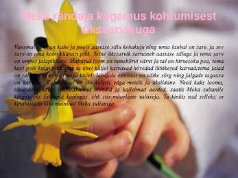 Ükssarvikud #4