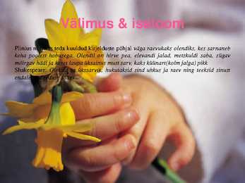 Ükssarvikud #6
