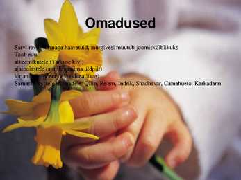 Ükssarvikud #8