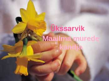 Ükssarvikud