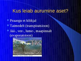 Aurumine #5