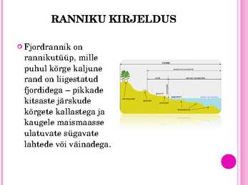 Fjordrannik #4