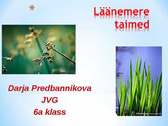 Läänemere taimed