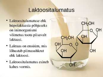 Piimaallergia ja laktoositalumatus #6