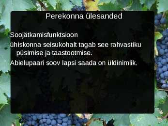 Perekonna ülesanded #4