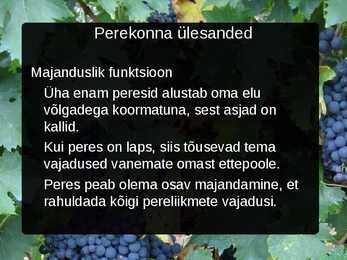 Perekonna ülesanded #8