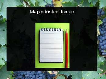Perekonna ülesanded #9