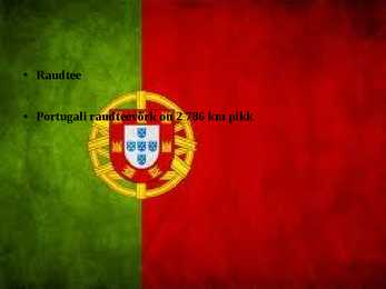 Esitlus Portugalist #11