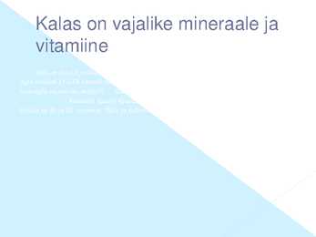 Kala ja Kalatooted Power point #11