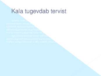 Kala ja Kalatooted Power point #9