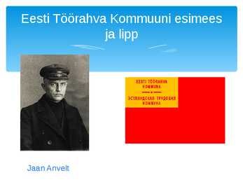 Vabadussõda powerpoint #4