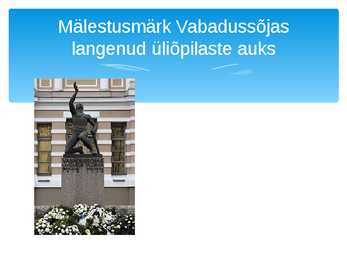 Vabadussõda powerpoint #8