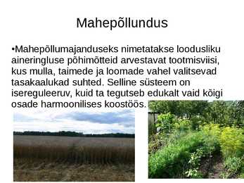 Põhikool Powrpoint esitlus Mahepõllundus - taime-ja loomakasvatus Geograafias #2