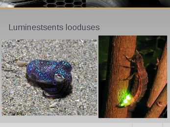 Luminestsents #17
