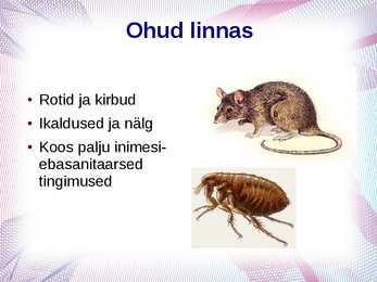 Keskaegne linn ja elu #9