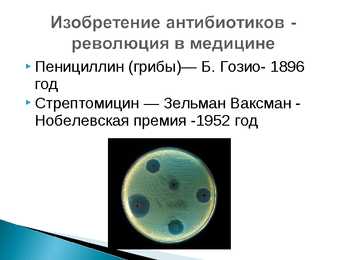 Biofarmaatsia-vene keeles #16