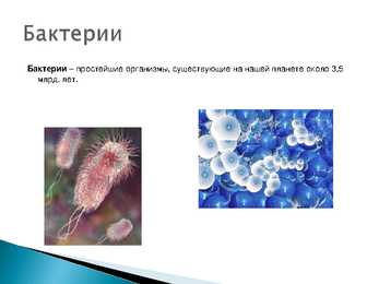 Biofarmaatsia-vene keeles #5