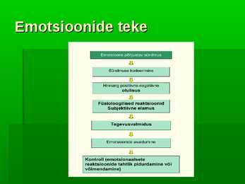 Emotsioonid esitlus #3