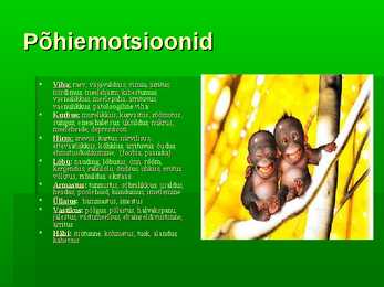 Emotsioonid esitlus #4