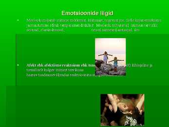 Emotsioonid esitlus #5
