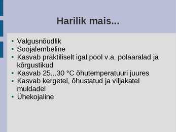 Maisi kasvatamine ja kasutamine #5