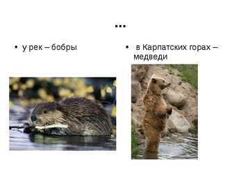 Poola loodus #8