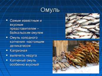 Oзеро Байкал-Baikali järve referaat esitlus #8