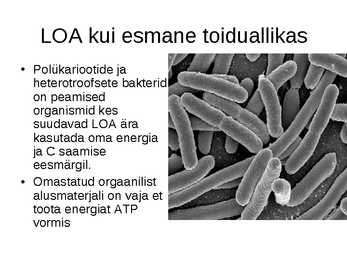 Lahustunud orgaanilise aine tähtsus veekogudes #11