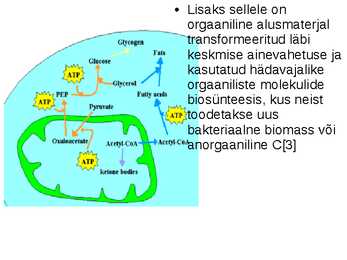 Lahustunud orgaanilise aine tähtsus veekogudes #12
