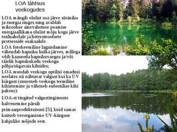 Lahustunud orgaanilise aine tähtsus veekogudes #7