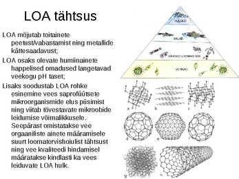 Lahustunud orgaanilise aine tähtsus veekogudes #8