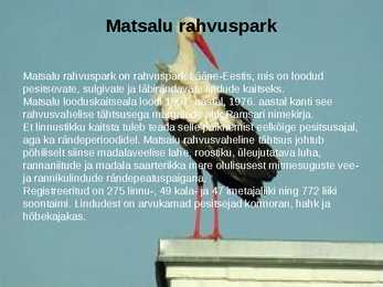 Esitlus-Eesti rahvuspargid #4