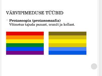 Värvipimedus - ettekanne #5