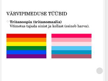 Värvipimedus - ettekanne #7