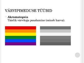 Värvipimedus - ettekanne #8