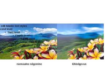 Nägemishäired - ettekanne #5