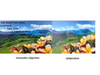Nägemishäired - ettekanne #9