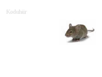 Väikesed taimetoidulised imetajad #5