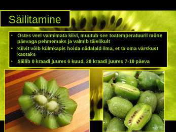 Kiivi-Actinidia chinensis #5