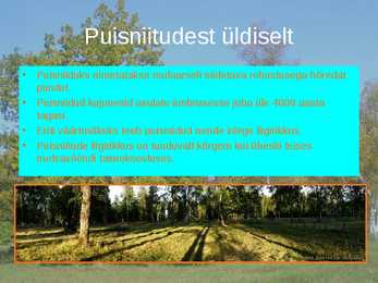 Puisniidud esitlus #2